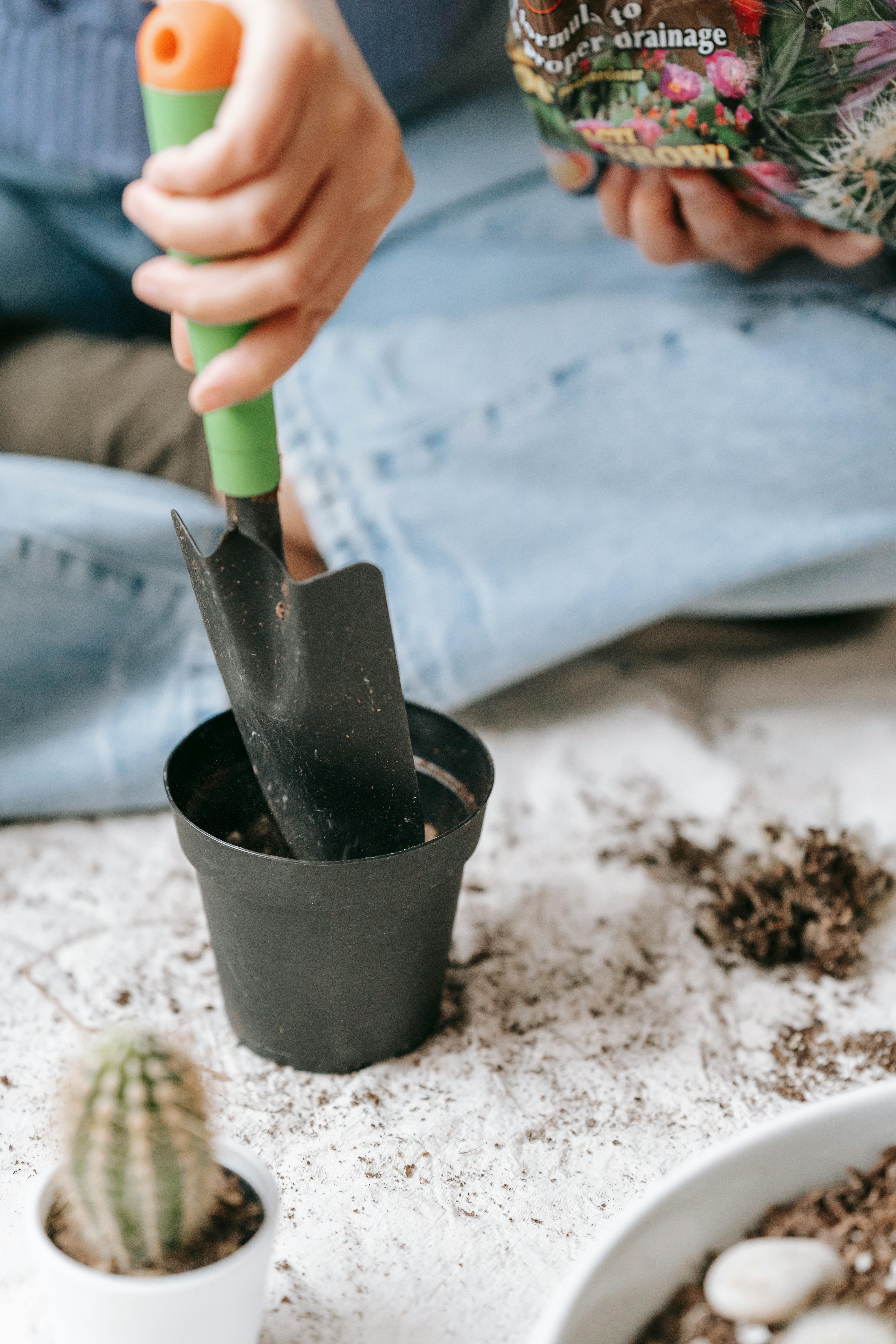 Seeds and Tools